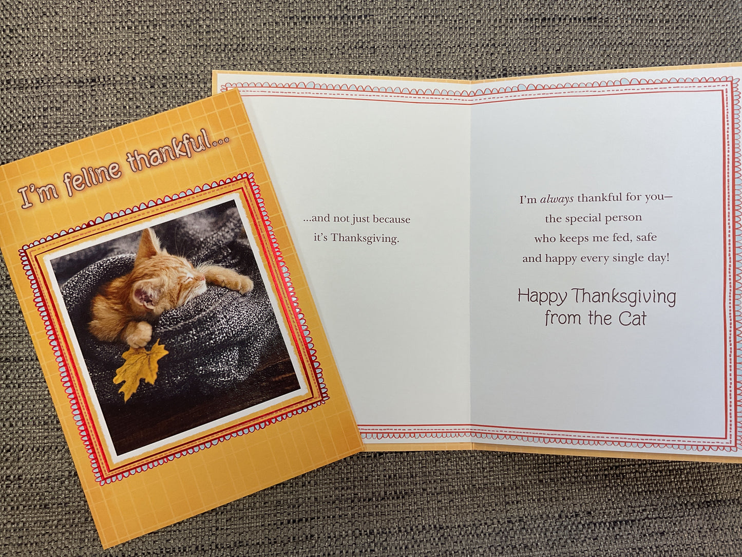 Happy Thanksgiving from the Cat Card