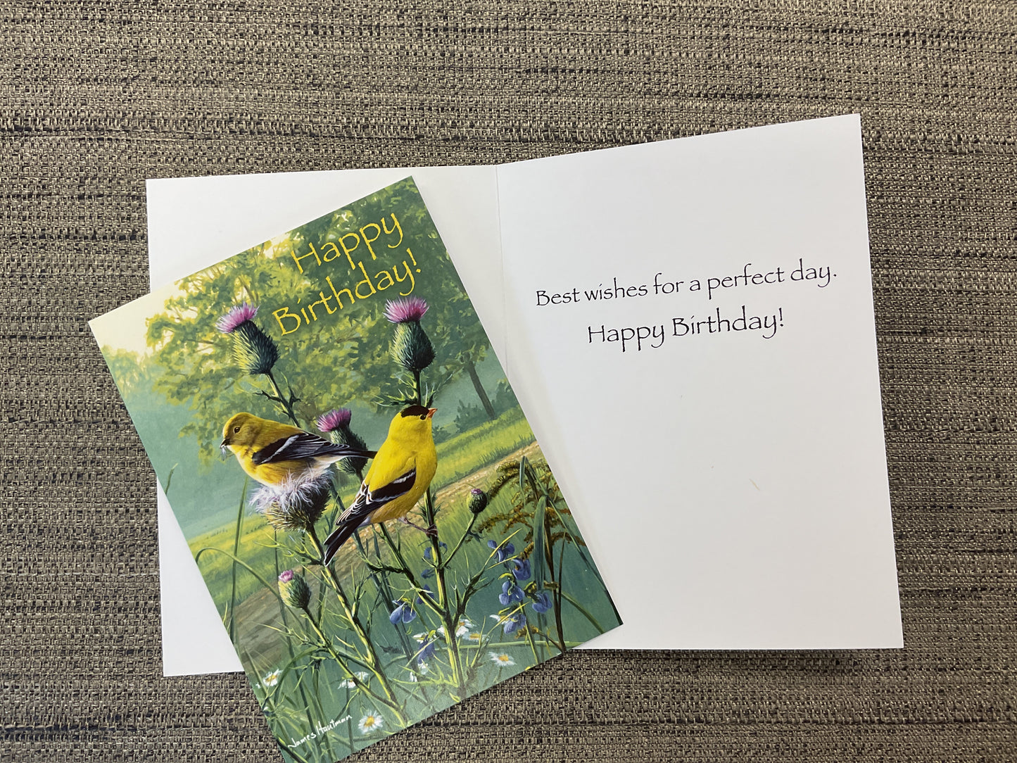 Birthday Card