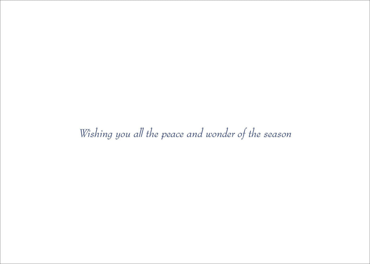 Starry Night Deluxe Boxed Holiday Cards