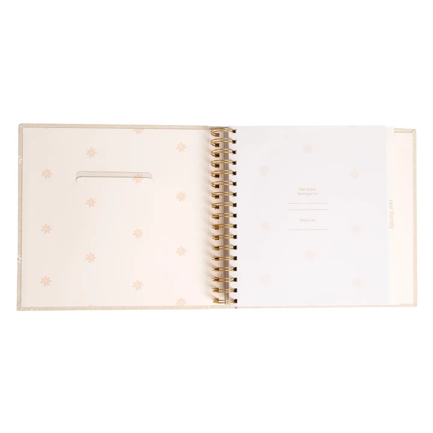 Daisy Print Square Baby Book, Memory Book