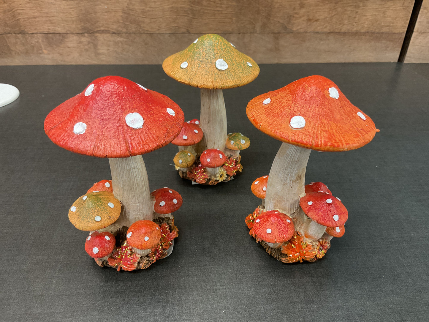 Resin Harvest Mushrooms