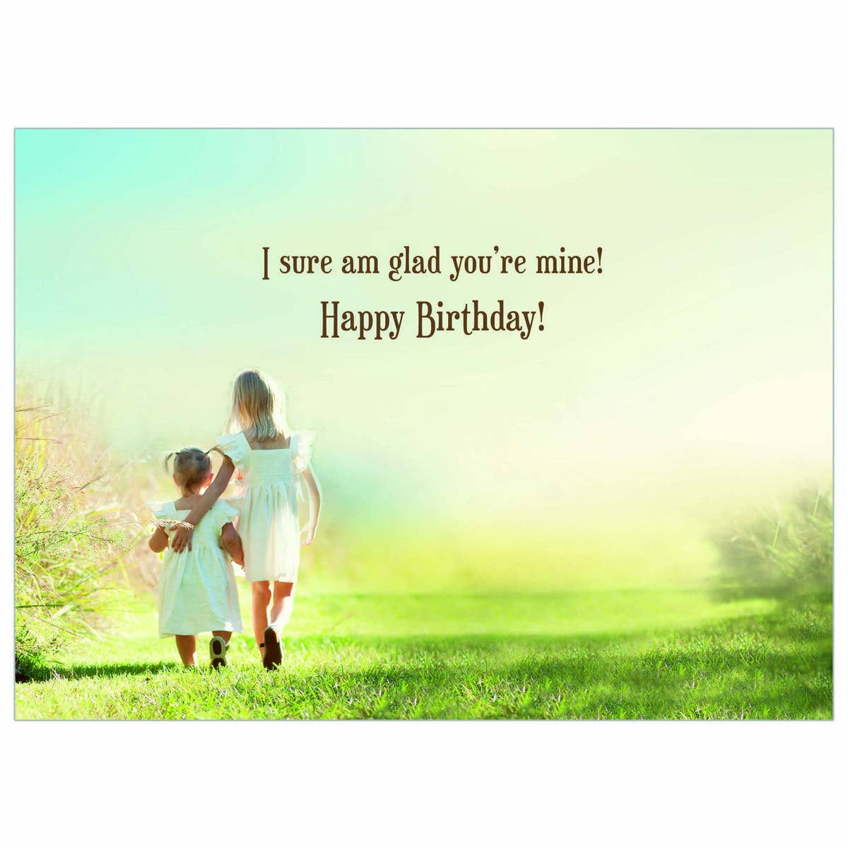 Sisterly Love - Birthday Sister Card