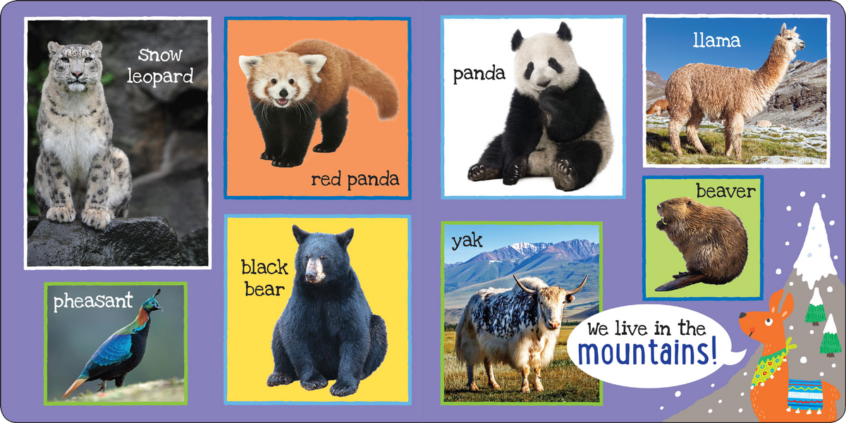 My First 101 ANIMALS Board Book