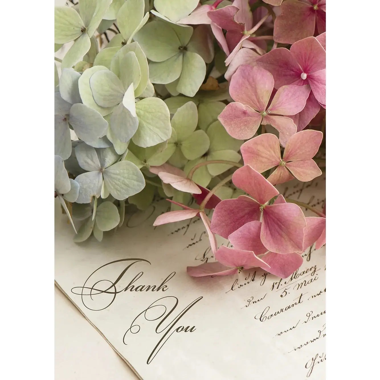 Thank You Card