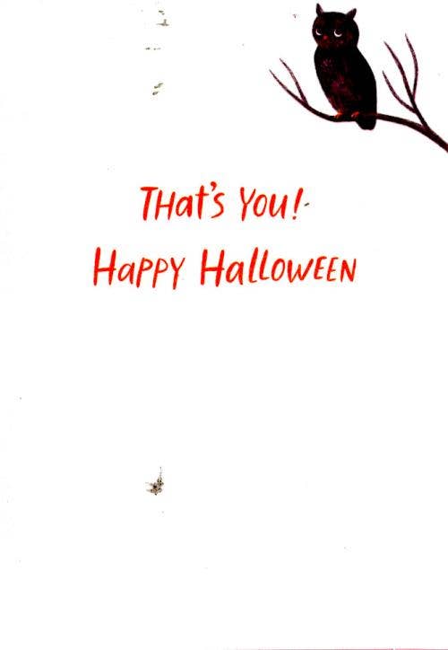 Halloween General