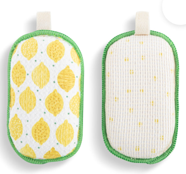 Absorbent Reversible Sponges Set