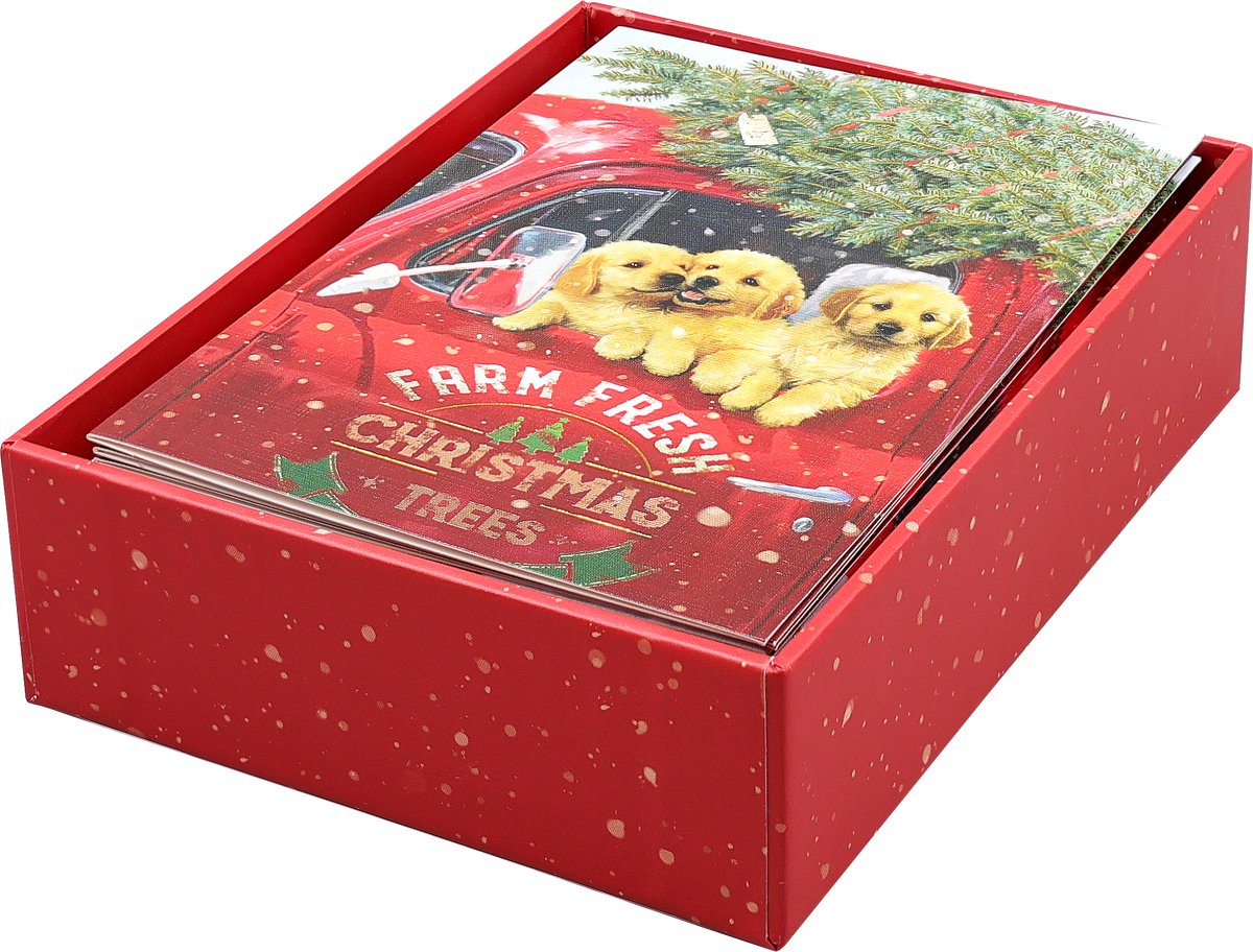 Festive Pups Small Boxed Holiday Cards
