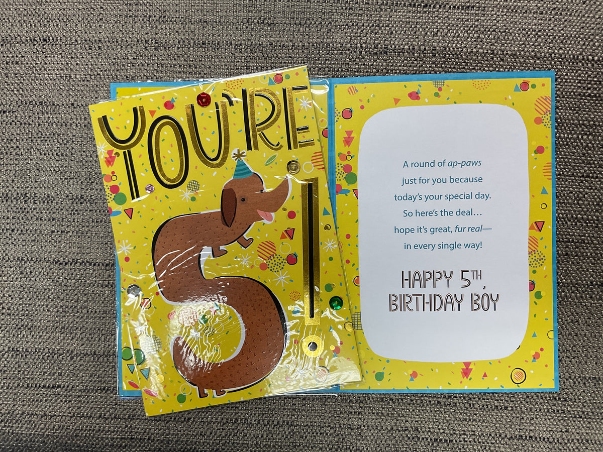 Age 5 Birthday Card *Stickers*