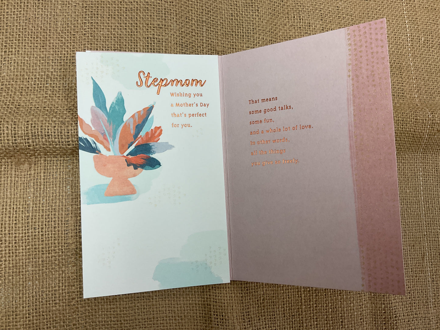 Stepmom - Mother’s Day