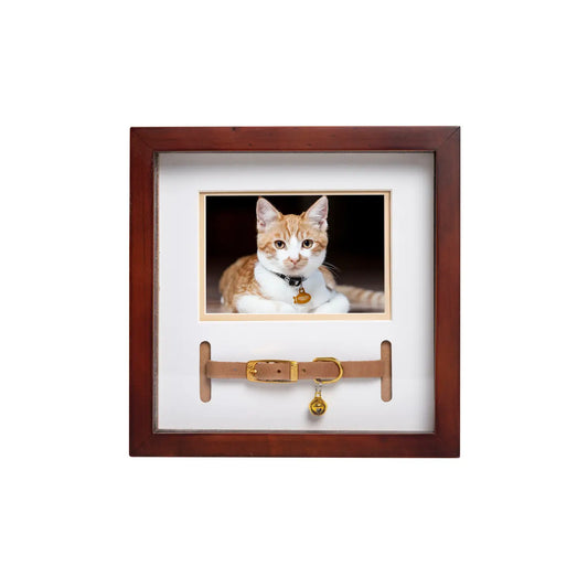 Pet Collar and Photo Frame, Espresso