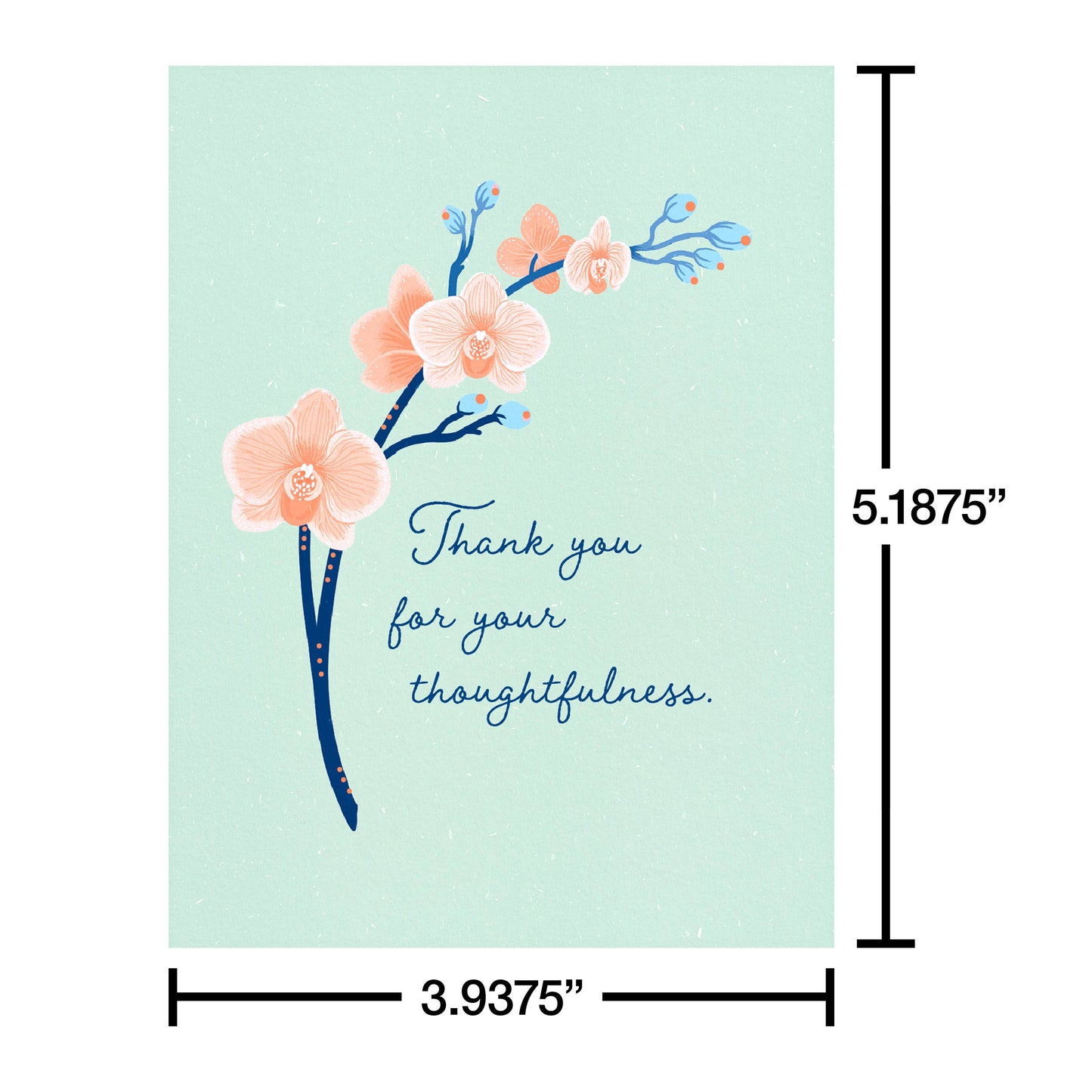 Thank You Card Stationery Notes, Thoughtfulness (10-Count)