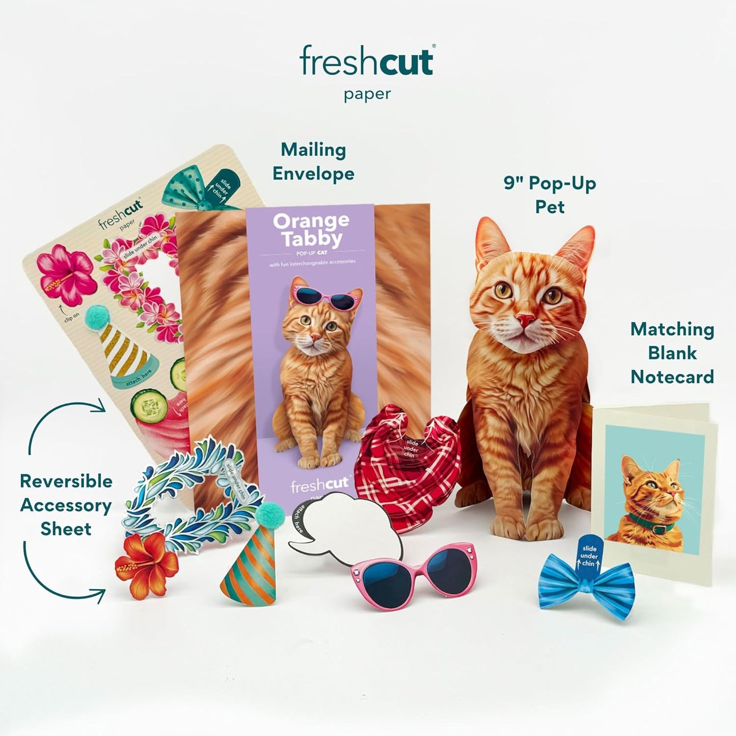 Orange Tabby Pop-Up Cat