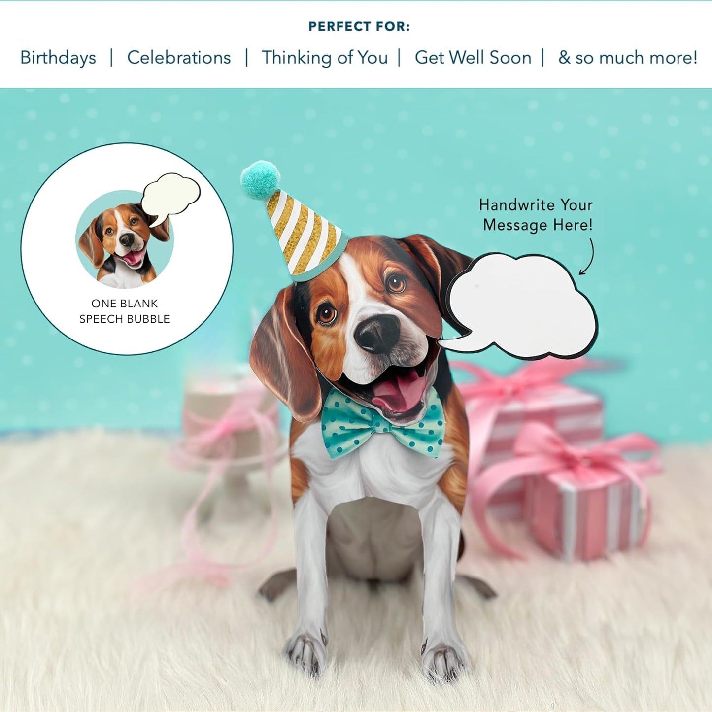 Beagle Pop-Up Pup