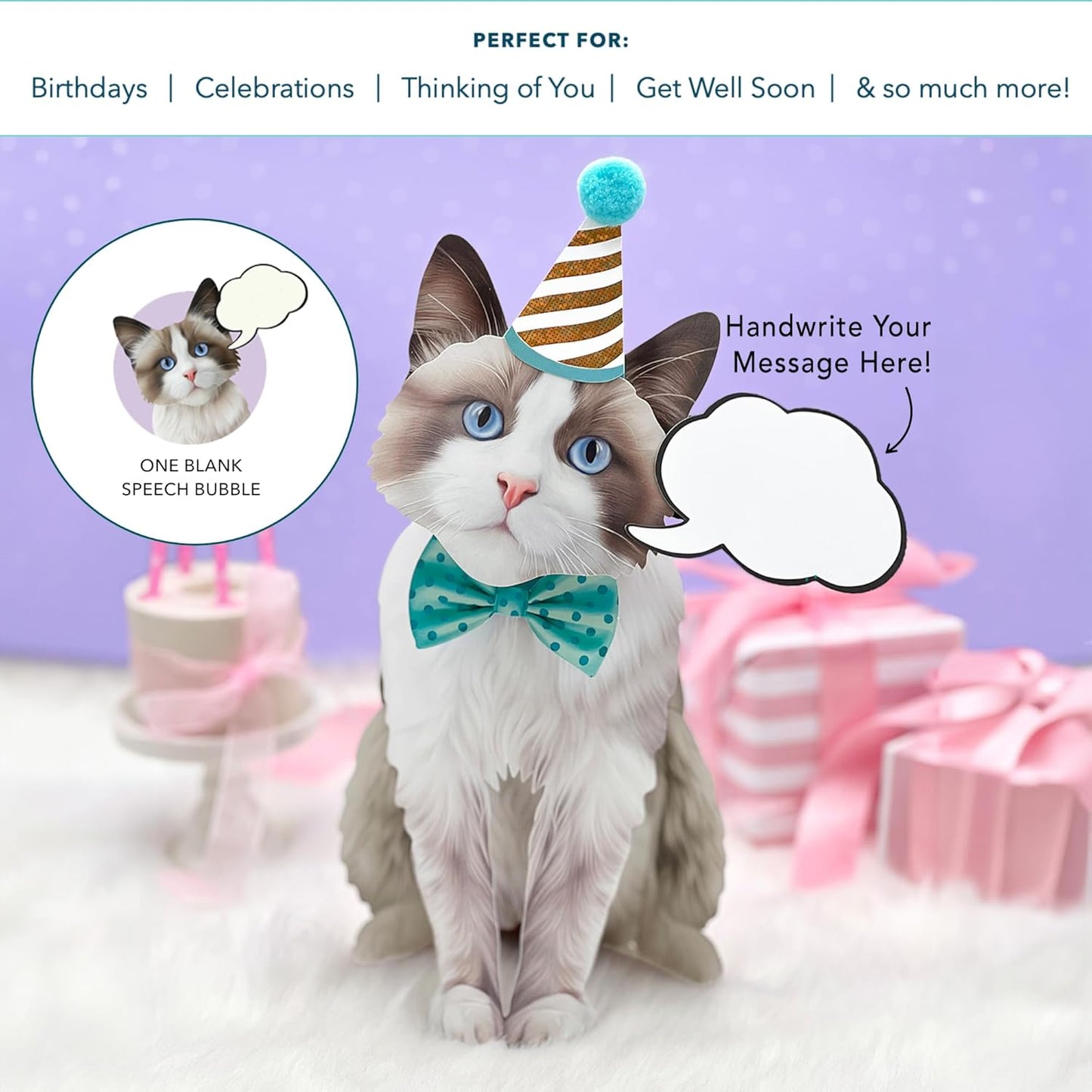 Ragdoll Pop-Up Cat