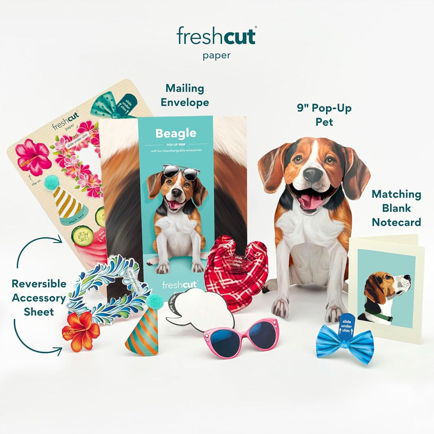 Beagle Pop-Up Pup