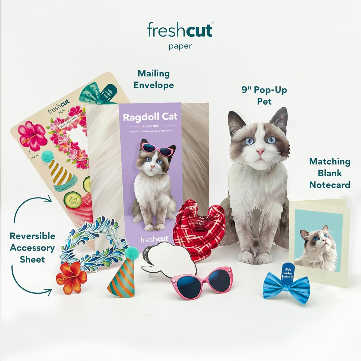 Ragdoll Pop-Up Cat