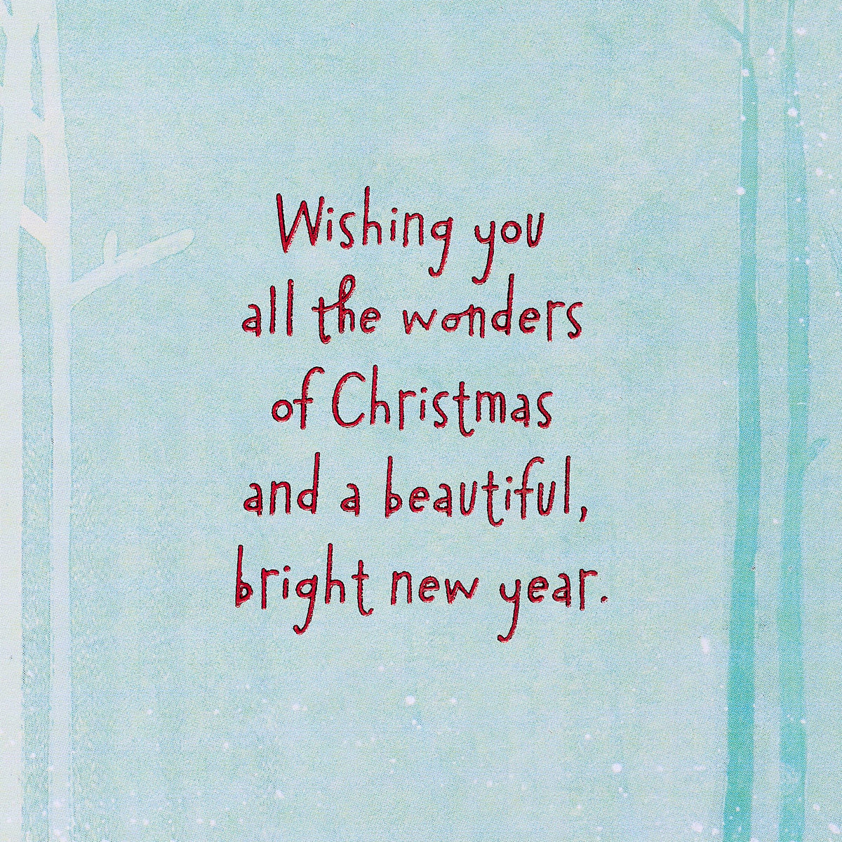 Believe in Christmas Wonder Holiday Greeting Card
