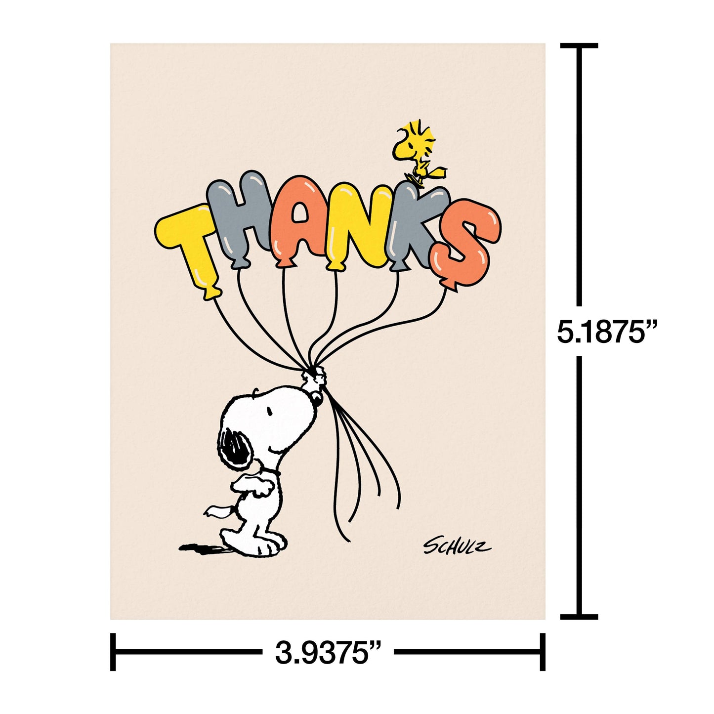 Thank You Card Stationery Notes, Snoopy and Woodstock 10-Ct