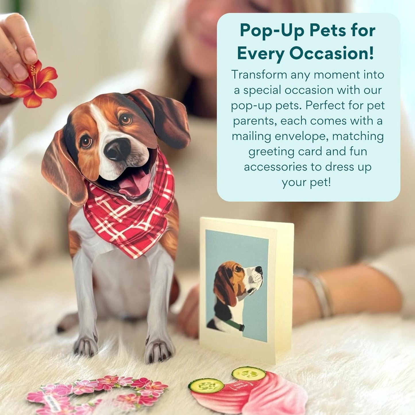 Beagle Pop-Up Pup
