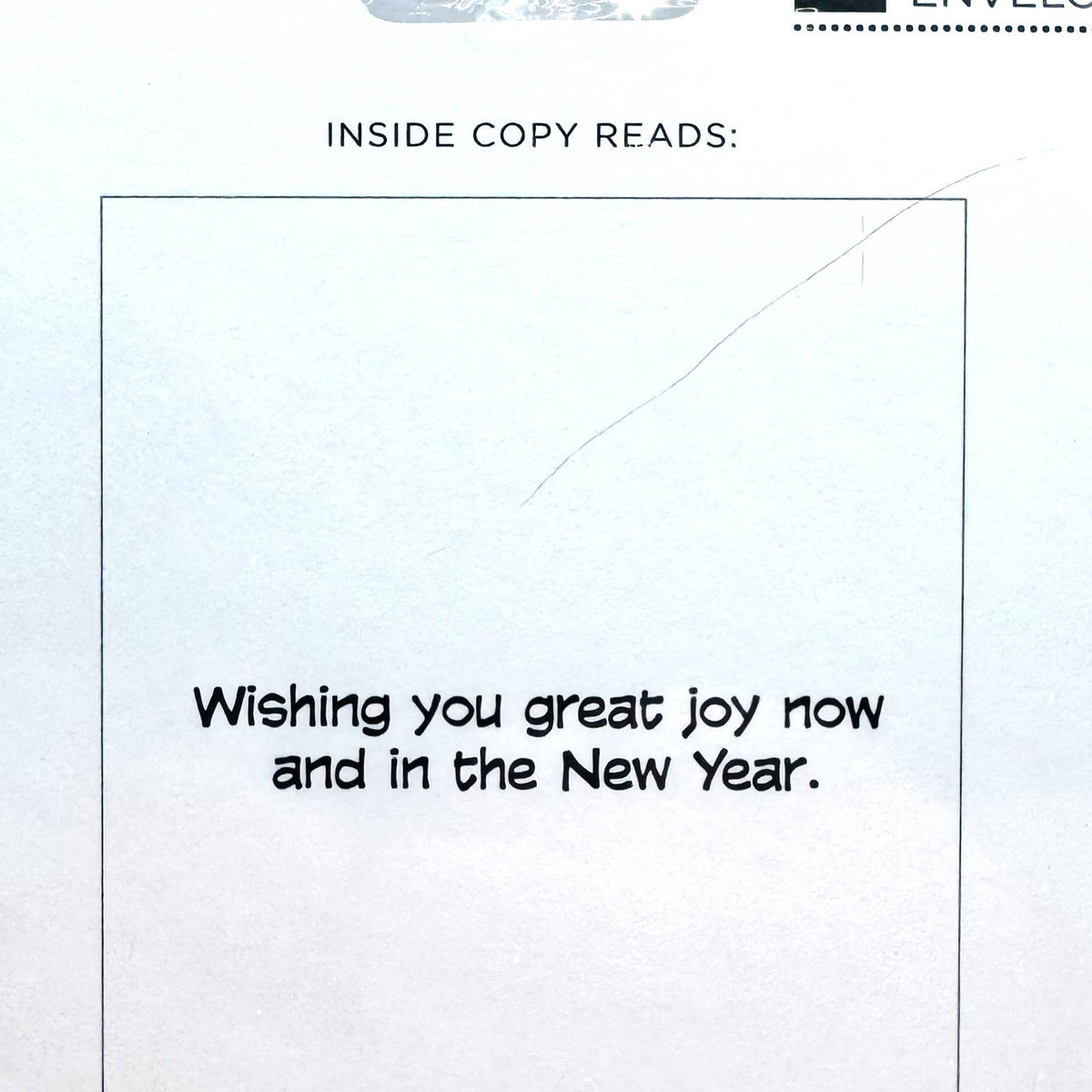 Peanuts Good Tidings Packaged Christmas Cards with Envelopes