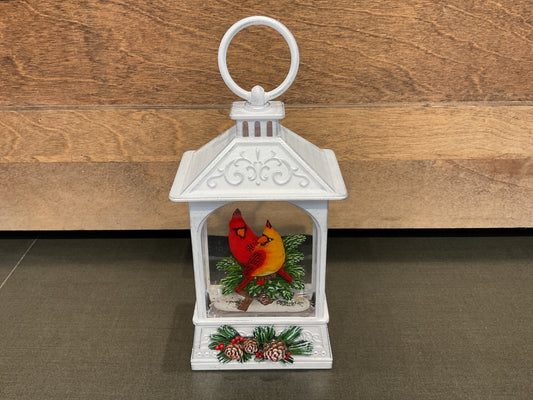 LED Lighted Spinning Water Globe