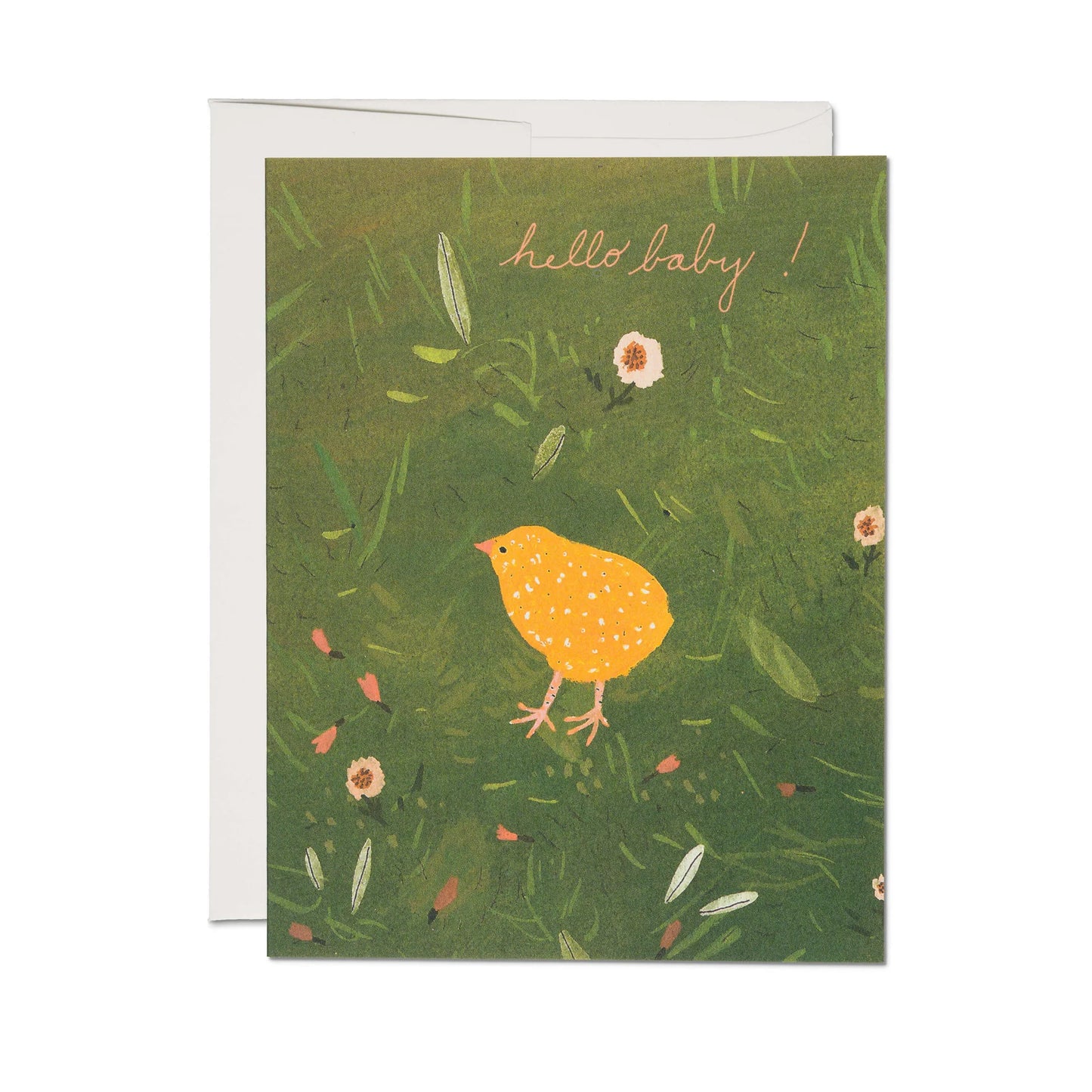 Baby Chick Card