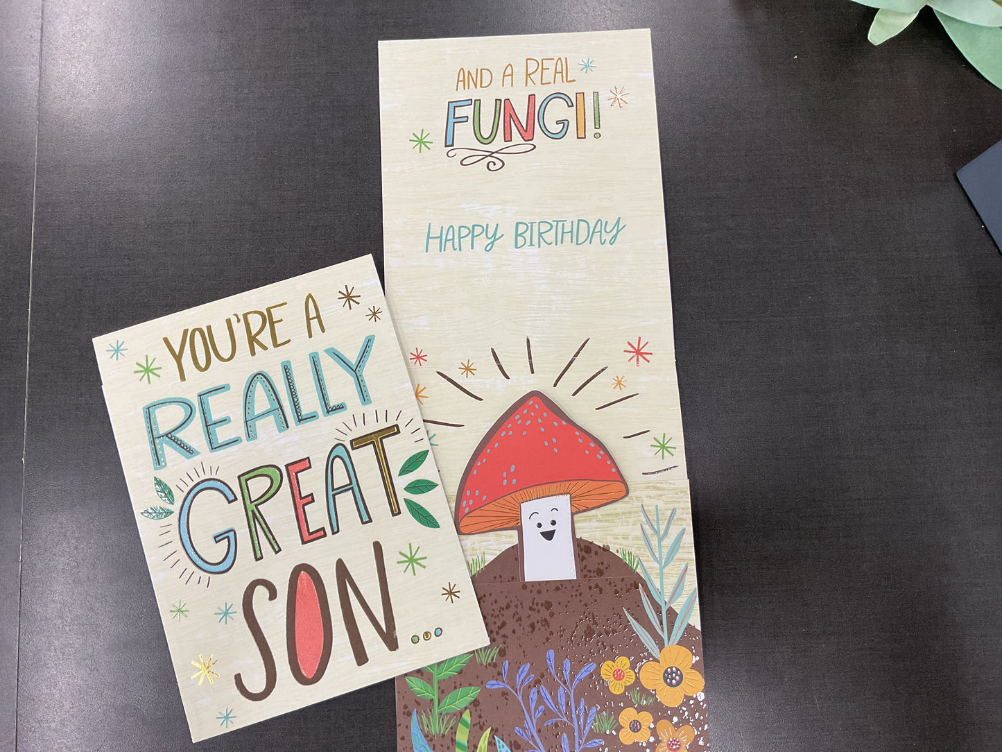 Son Birthday Card - Funny