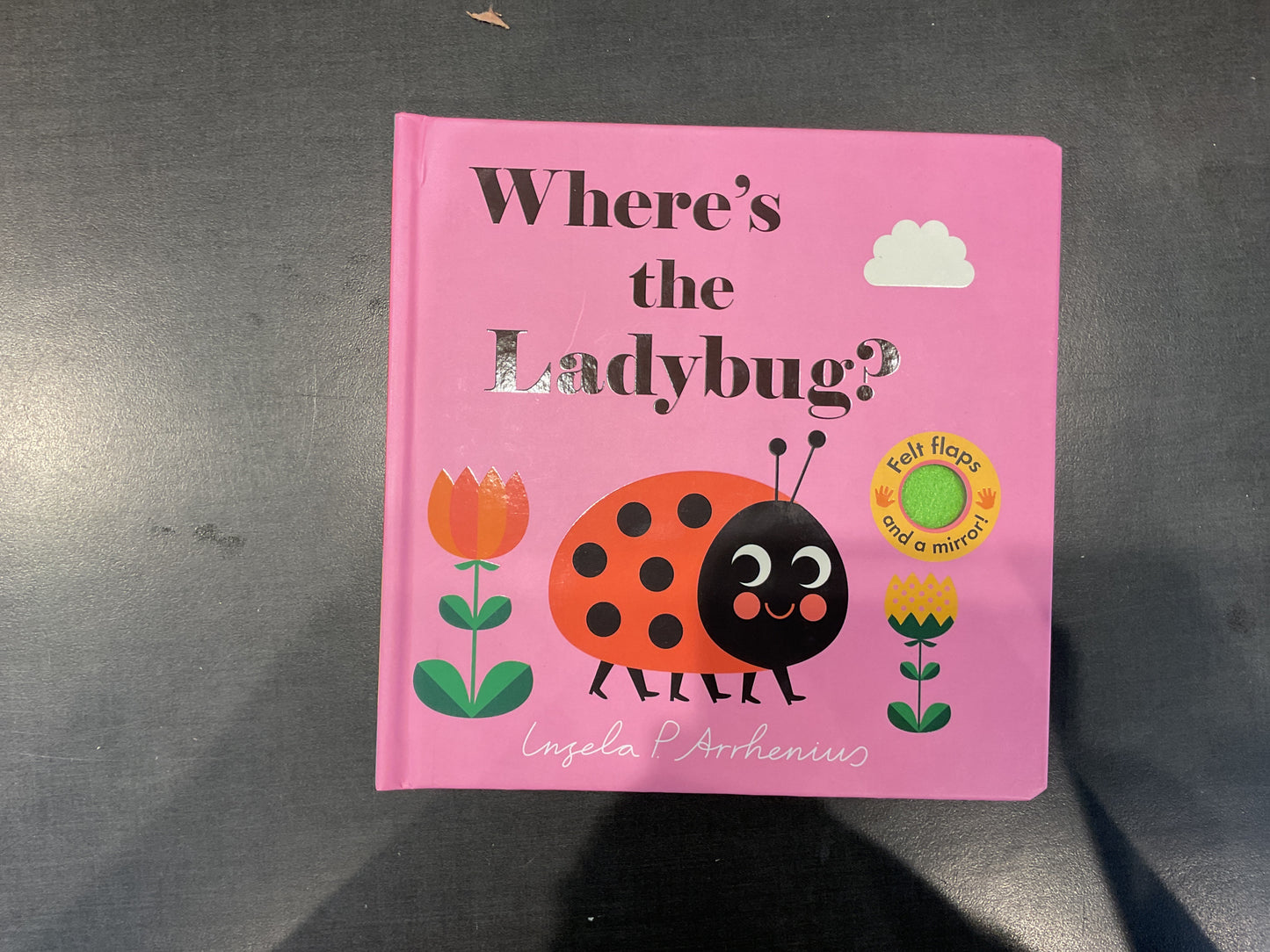 Where’s The Ladybug? Book