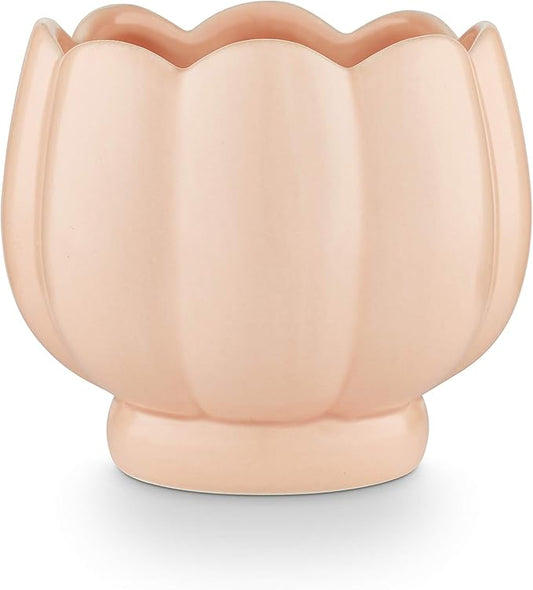 Tried & True Wild Rose