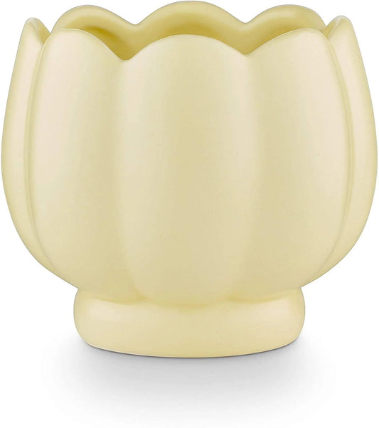 Tried & True Coconut Bloom