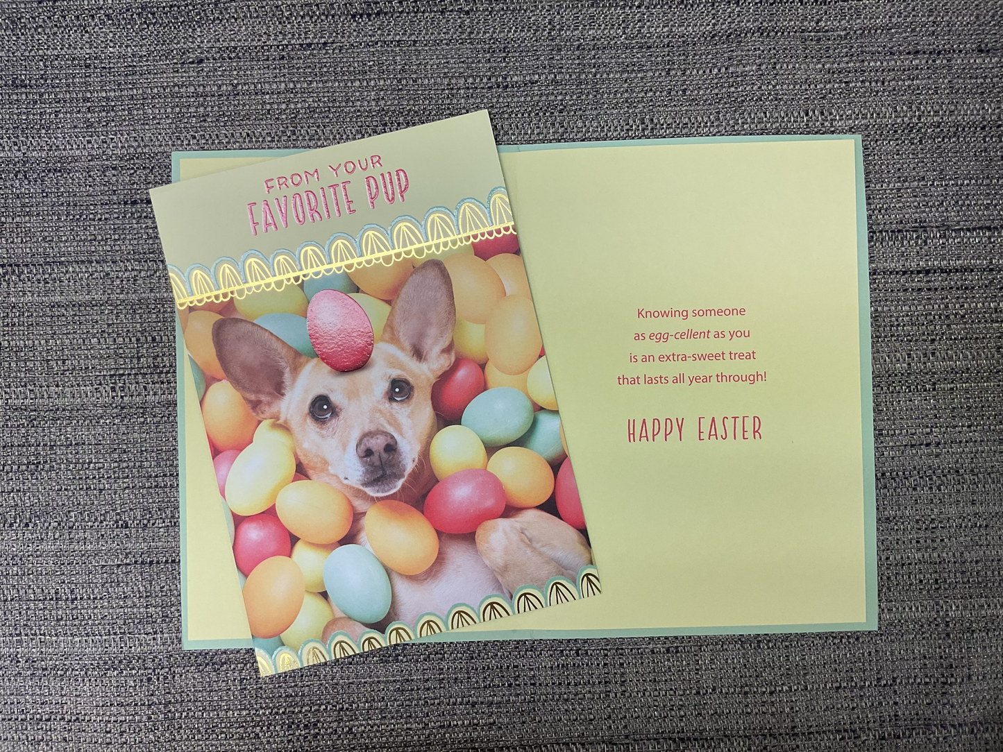 Easter Card from Dog