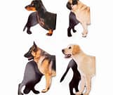 Magnetic Dog Bookmarks