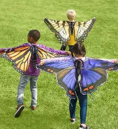 Realistic Butterfly Wings