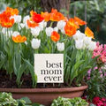 Best Mom Ever Plant Pick
