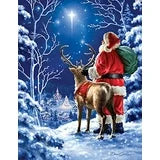 Starry Night 500 Piece Jigsaw Puzzle
