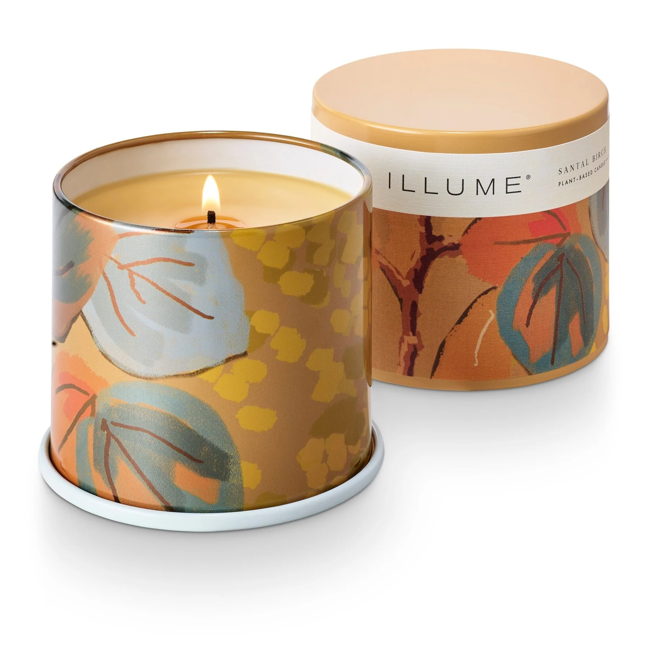 Santal Birch Illume Collection