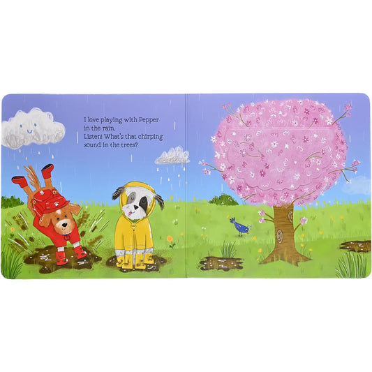 Peek-A-Bo - Rainbow Color