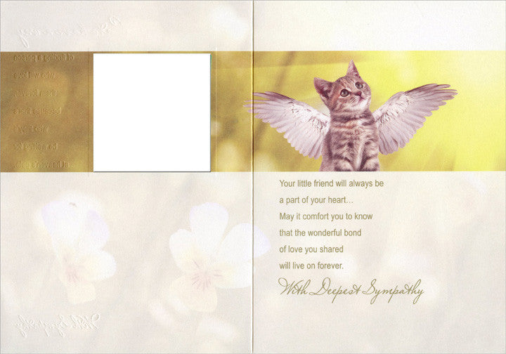 Loss of Cat - Sympathy Card
