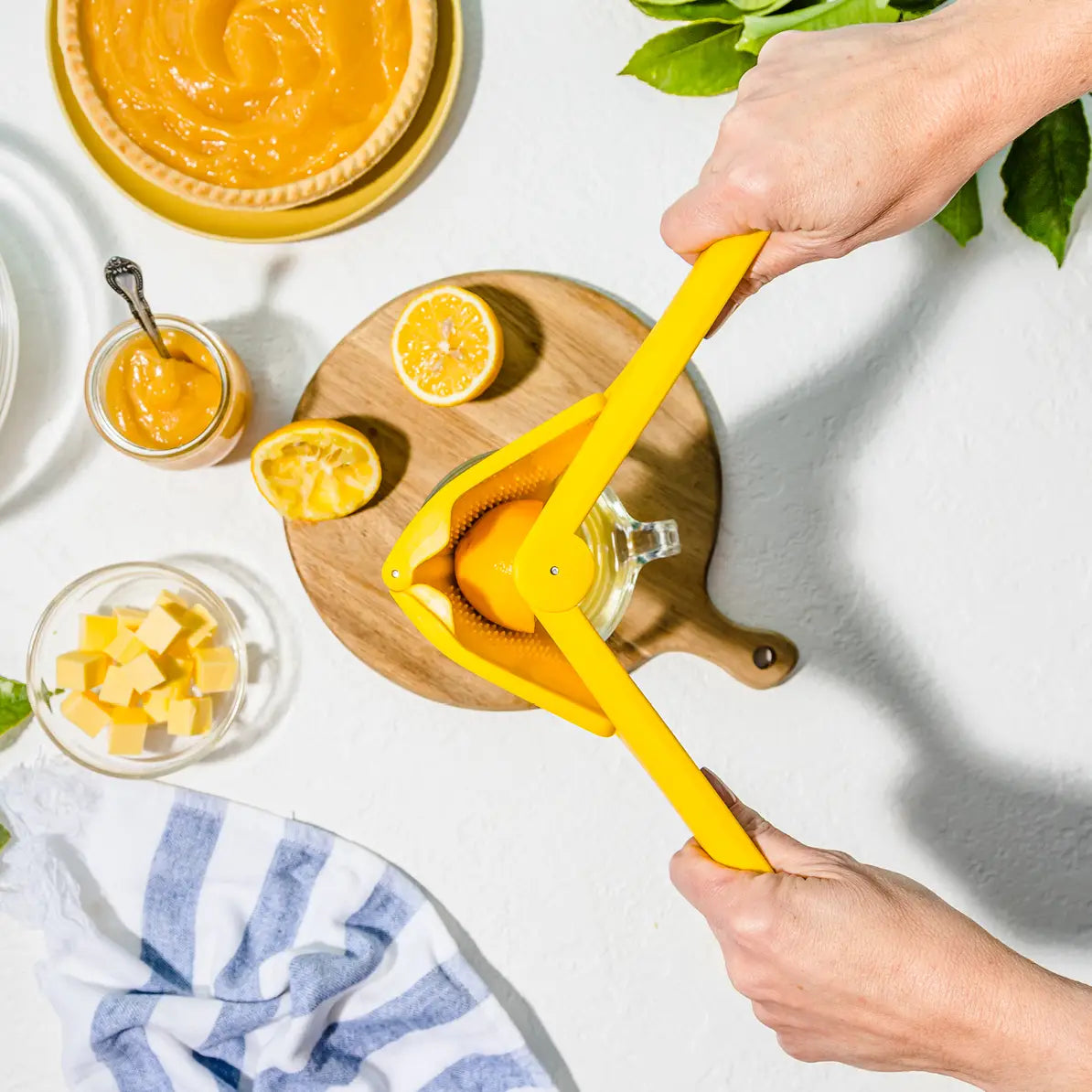 Fluicer Lemon - Fold Flat Easy Juicer