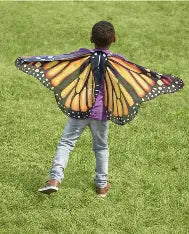 Realistic Butterfly Wings