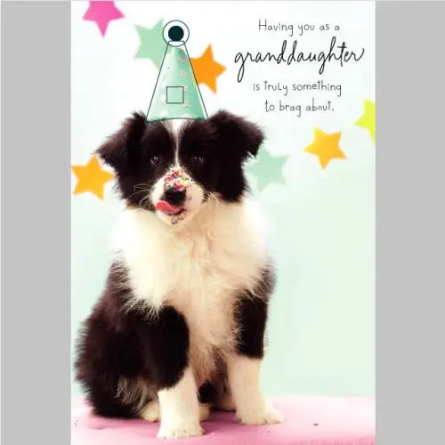Granddaughter Birthday Card