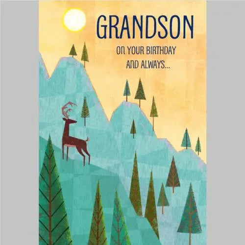 Grandson Birthday Card