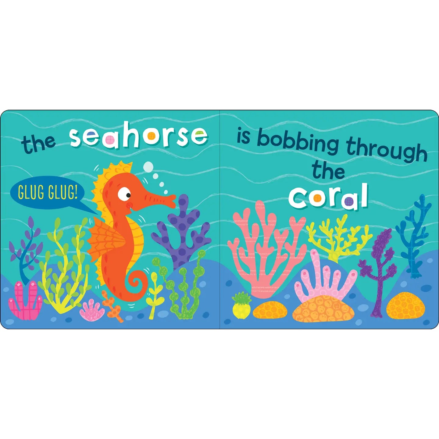 Who Is in the Ocean? Board Book