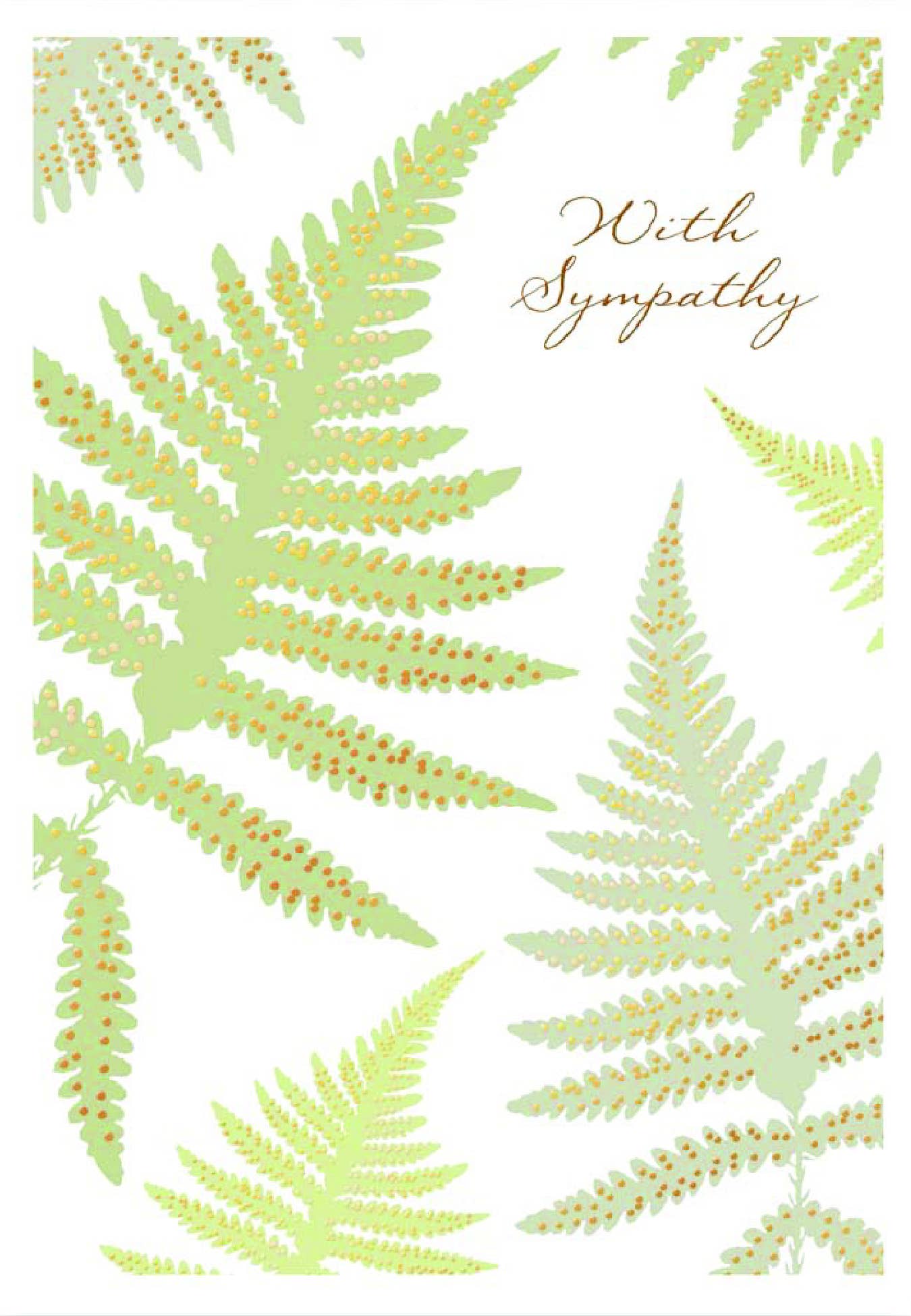 Ferns Sympathy Card