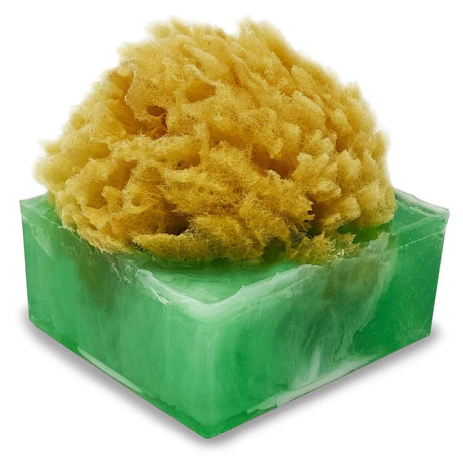 Sponge Bar Glycerin Bar Soap