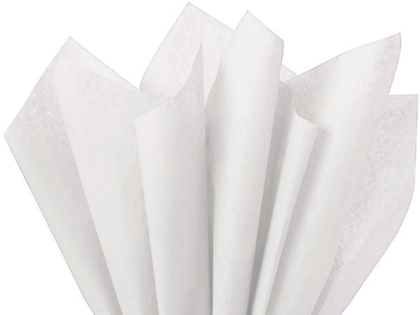 White- Solid Tissue