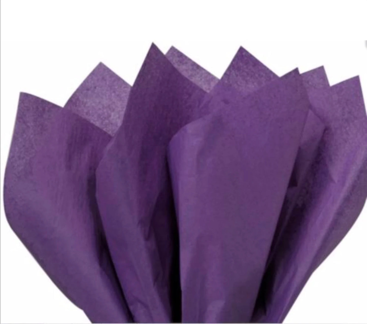 Purple- Solid Tissue