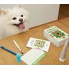 Dog Dental Care Kit