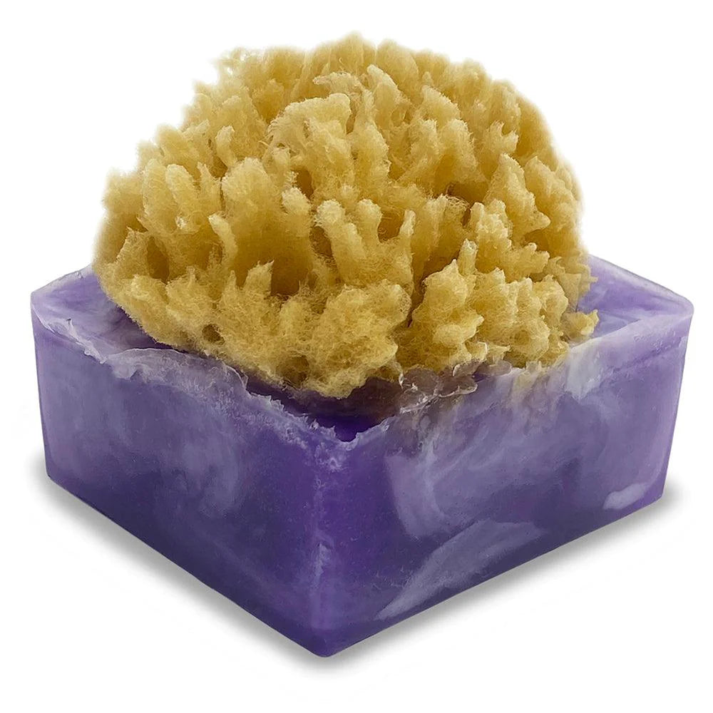 Sponge Bar Glycerin Bar Soap