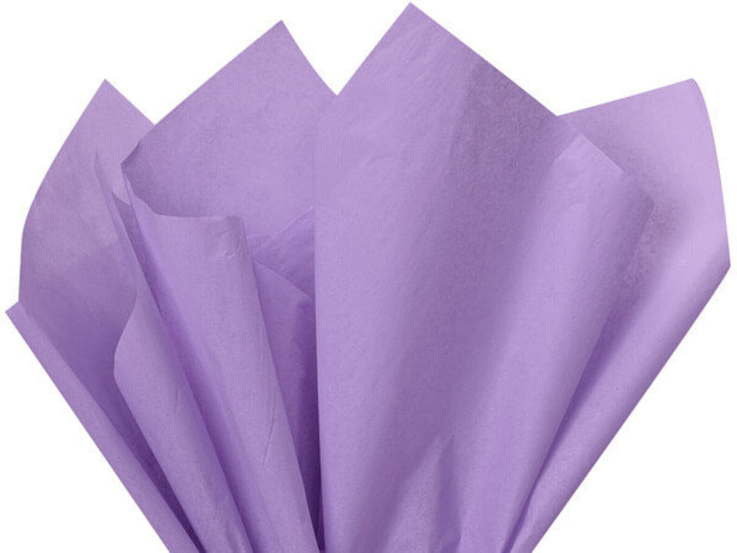 Tissue Paper - Solid